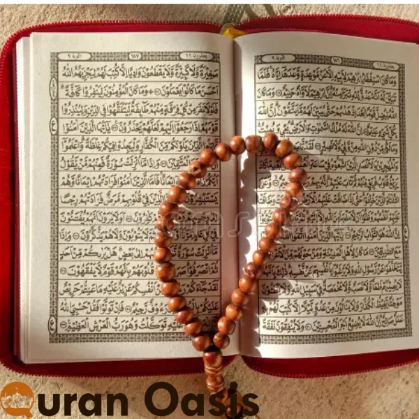 Learn memorize Quran