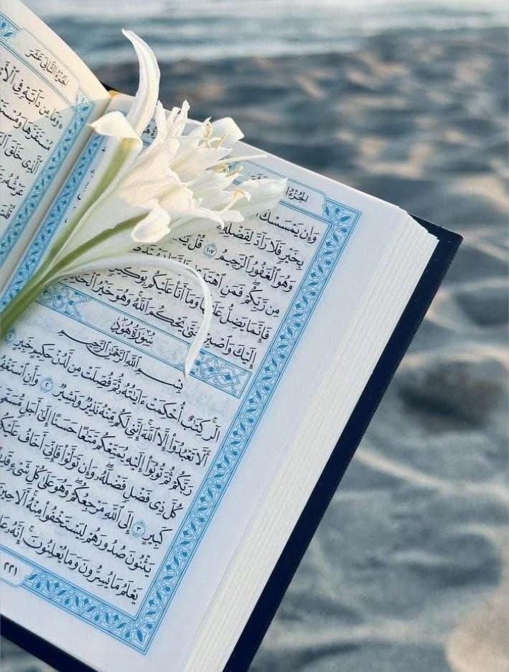 learn arabic words from quran