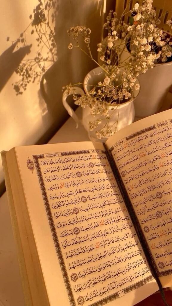 learn arabic words from quran