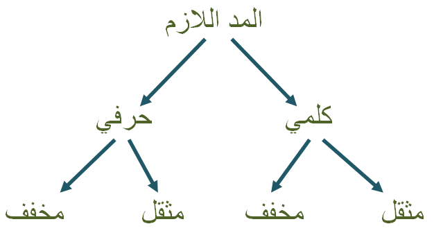 Explore the Types of Madd in Tajweed